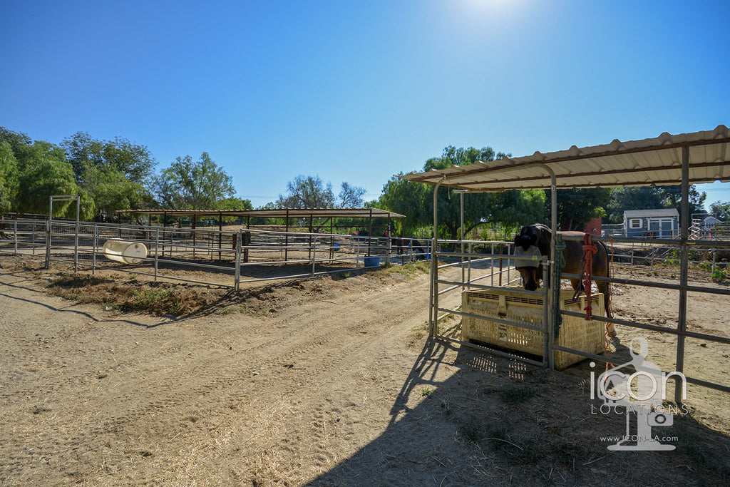 Horse Ranch - RA3167