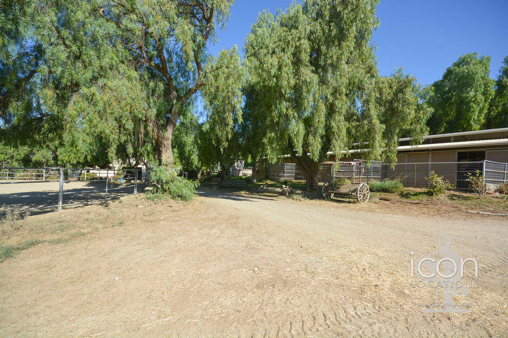 Horse Ranch - RA3167