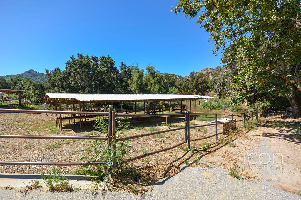 Horse Ranch - RA3170