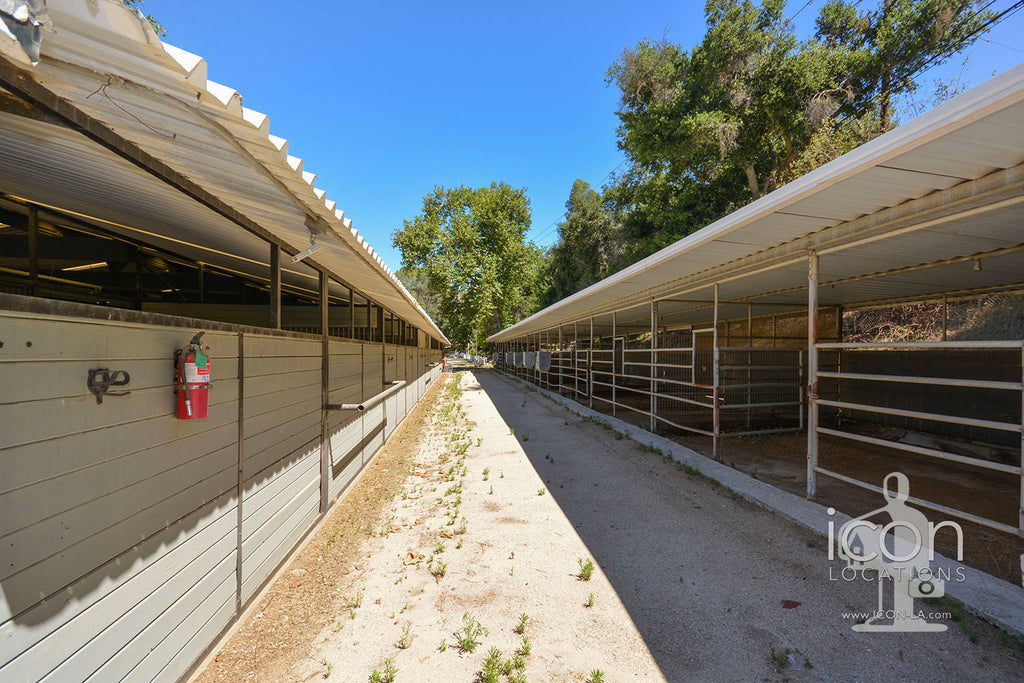 Horse Ranch - RA3170