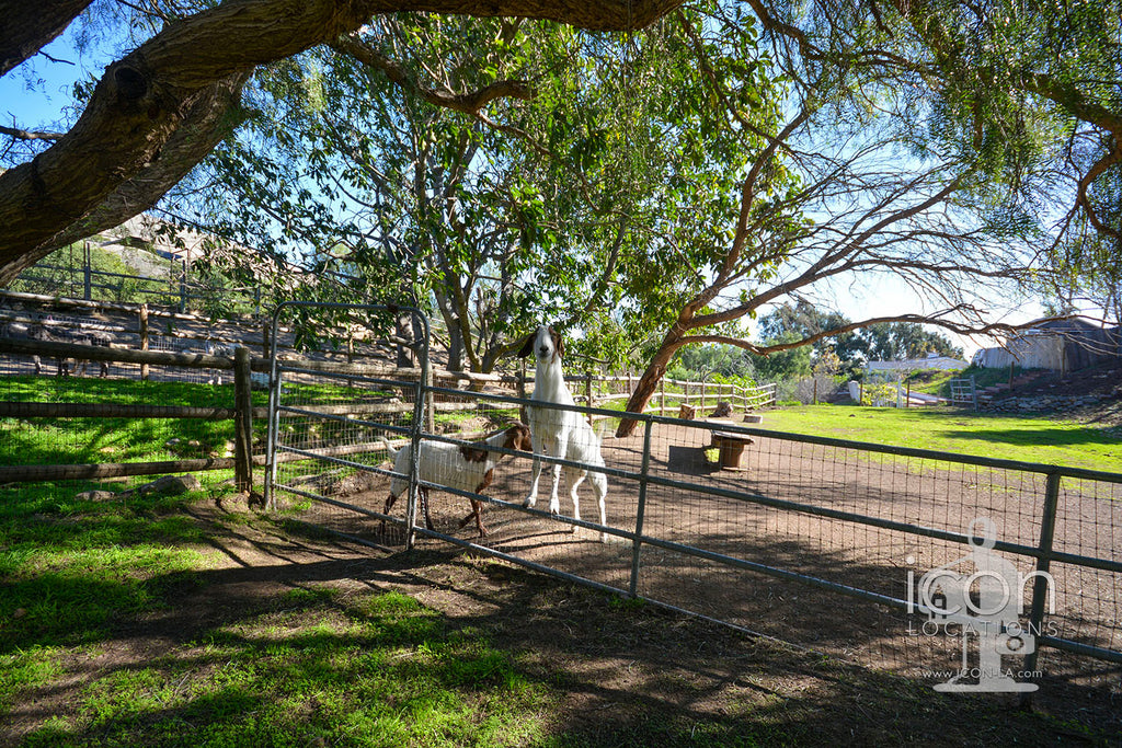 Ranch - RA3174