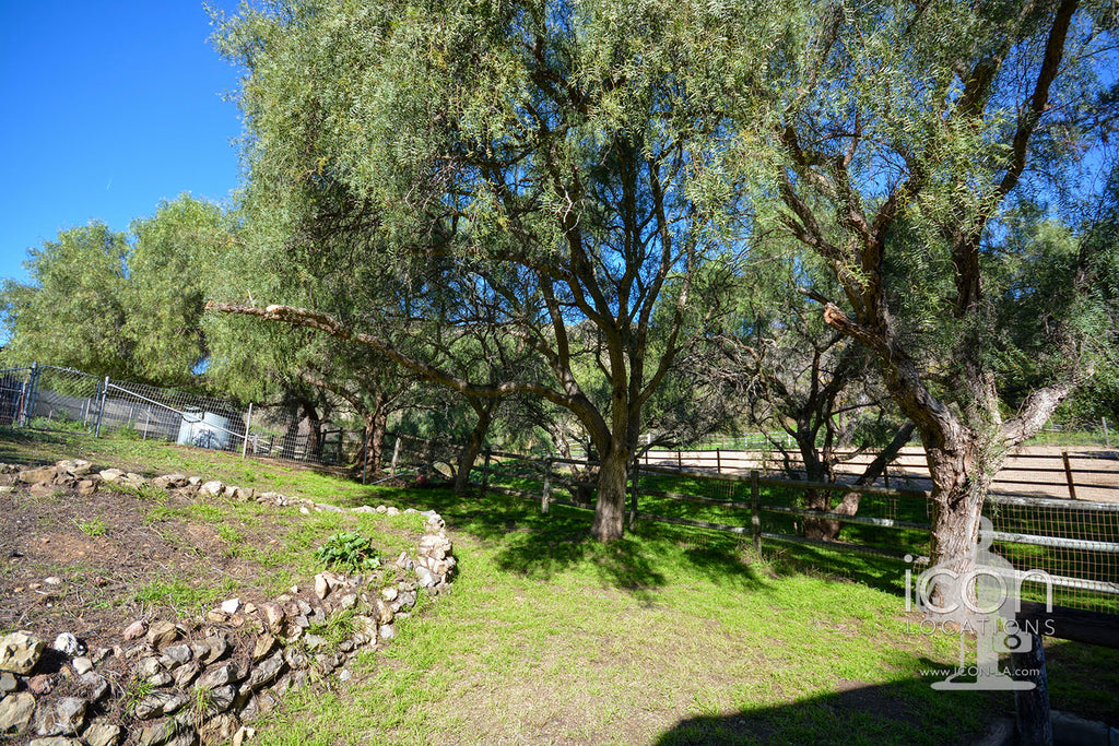 Ranch - RA3174