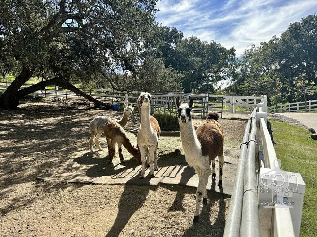 Vineyard/Ranch - RA3188