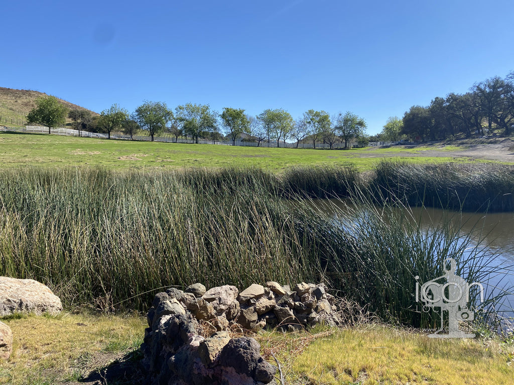 Vineyard Lake House - RA3187