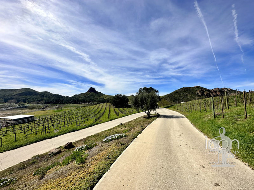 Vineyard/Ranch - RA3188