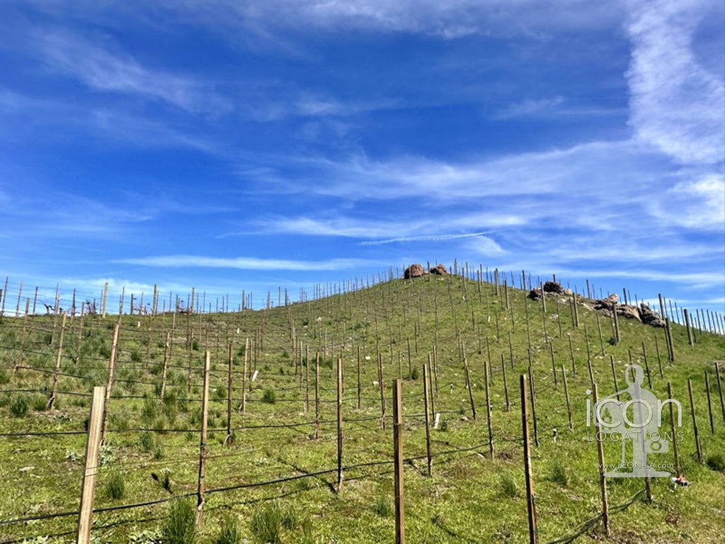 Vineyard/Ranch - RA3188