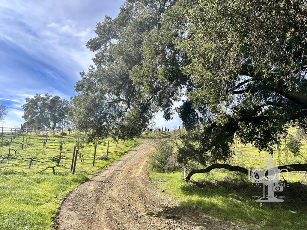 Vineyard/Ranch - RA3188