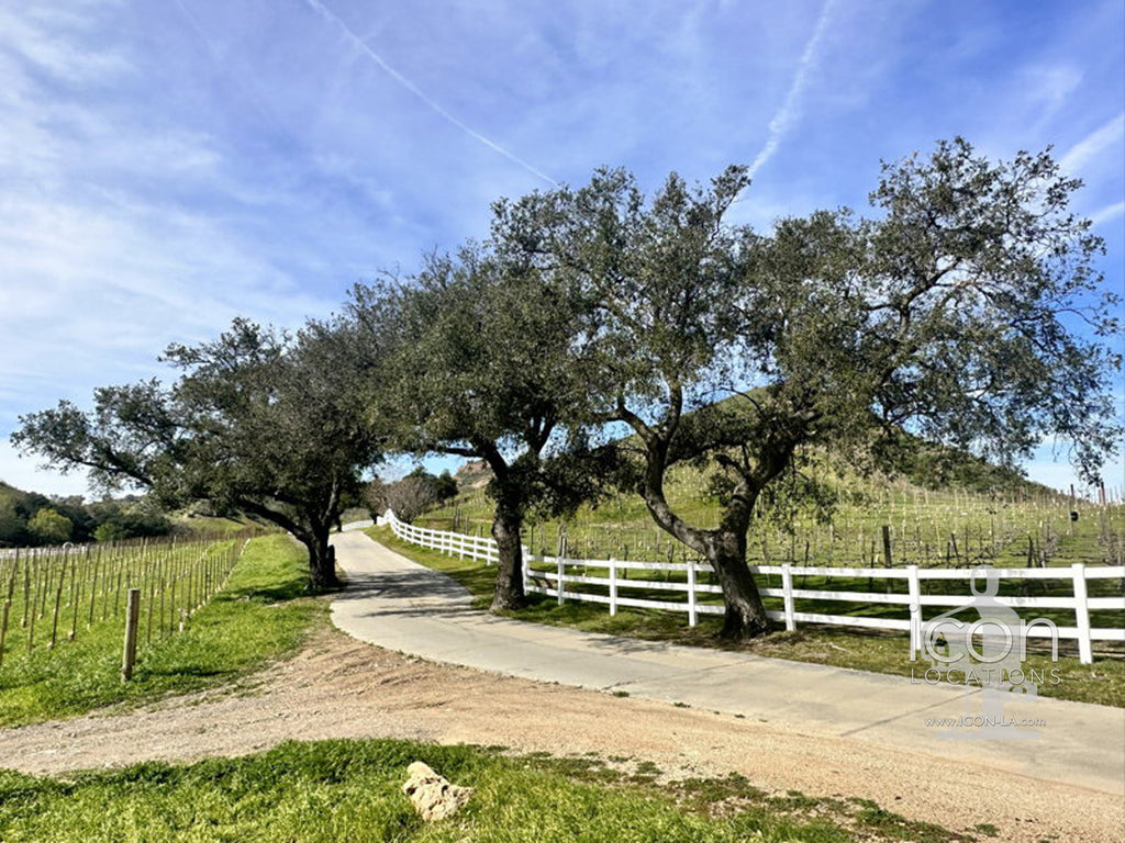 Vineyard/Ranch - RA3188