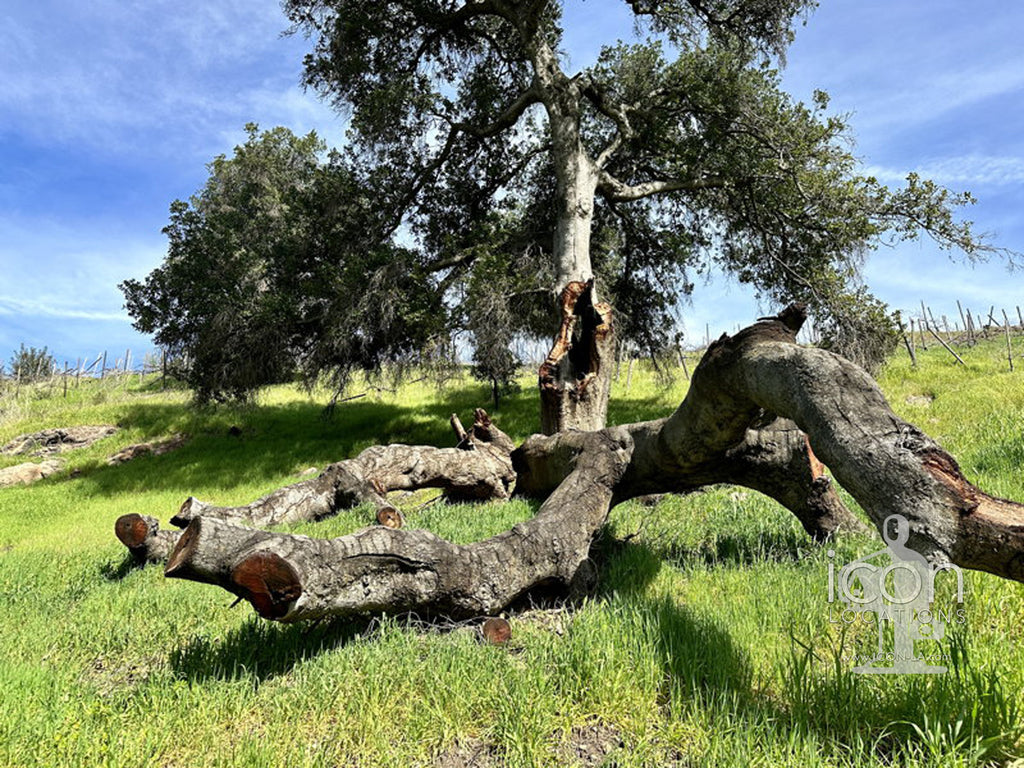 Vineyard/Ranch - RA3188