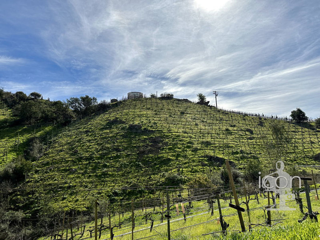 Vineyard/Ranch - RA3188