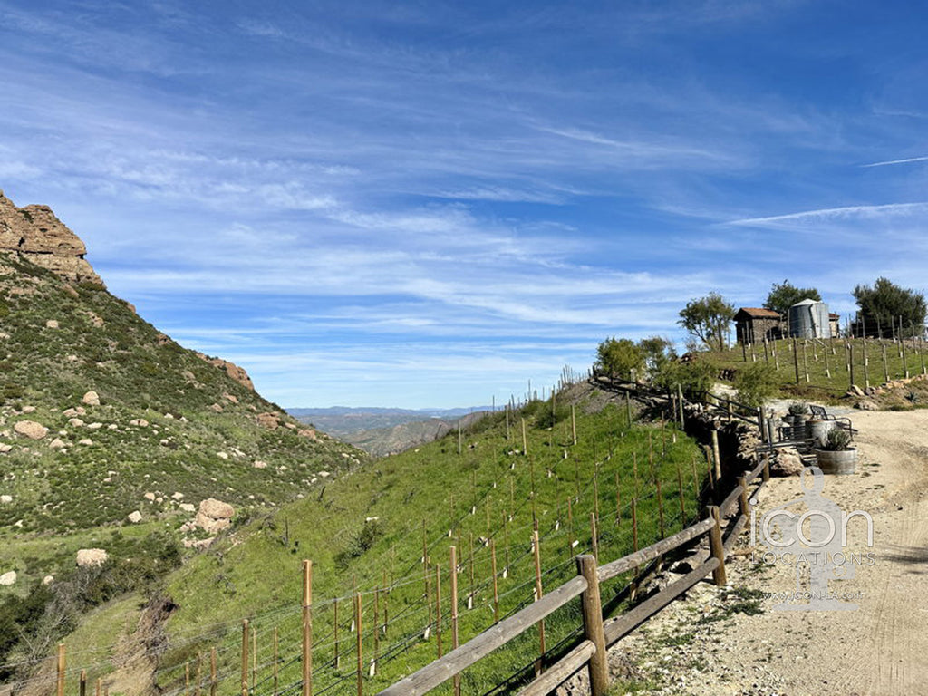 Vineyard/Ranch - RA3188