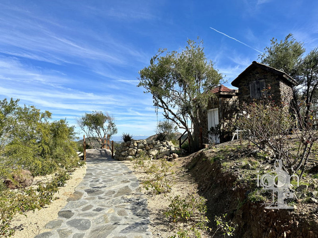 Vineyard/Ranch - RA3188