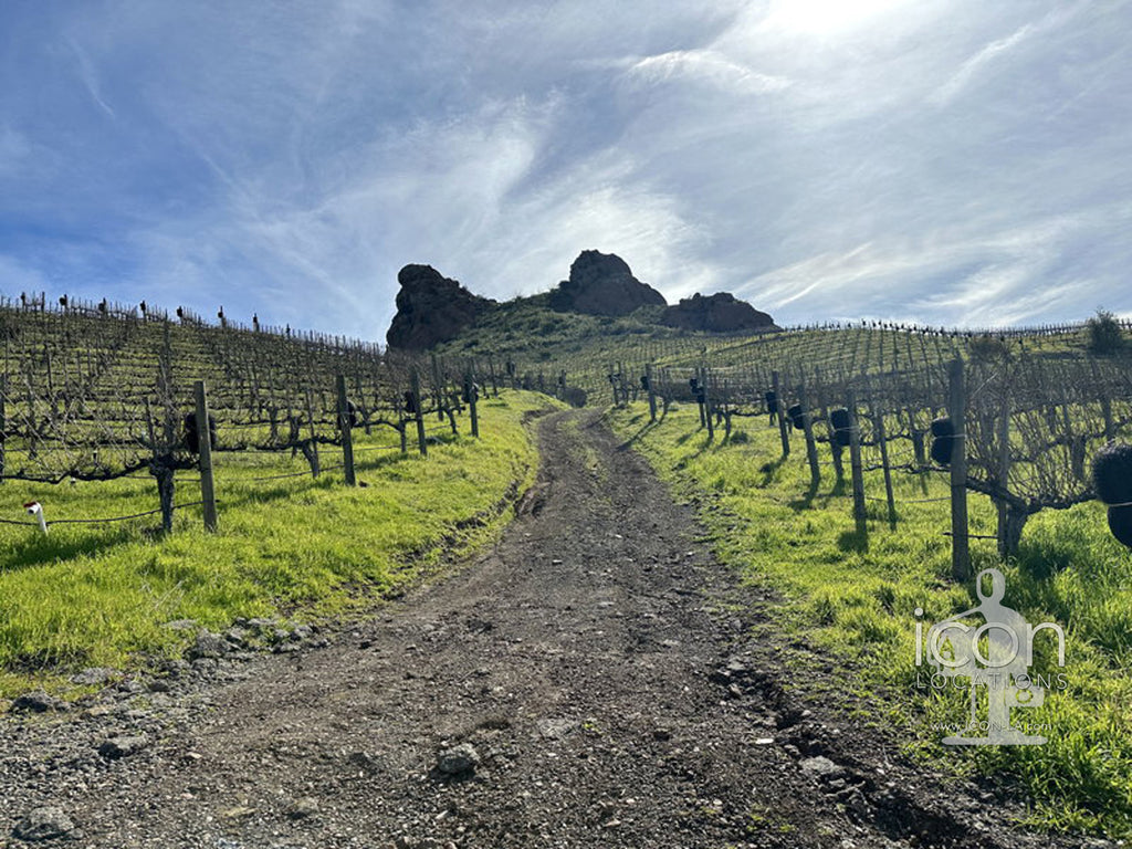 Vineyard/Ranch - RA3188