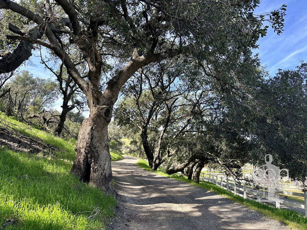 Vineyard/Ranch - RA3188