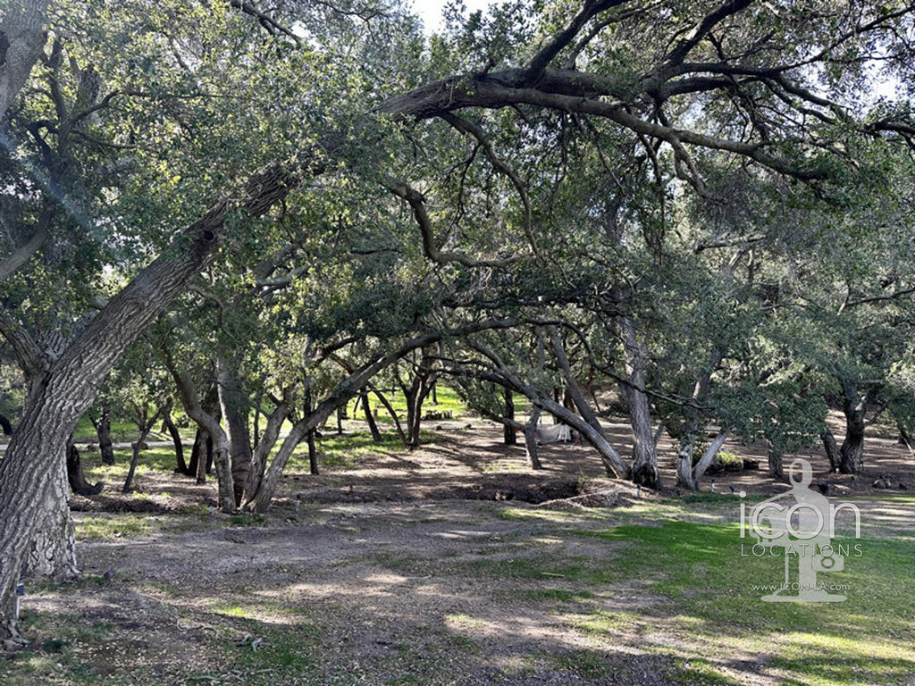 Vineyard/Ranch - RA3188