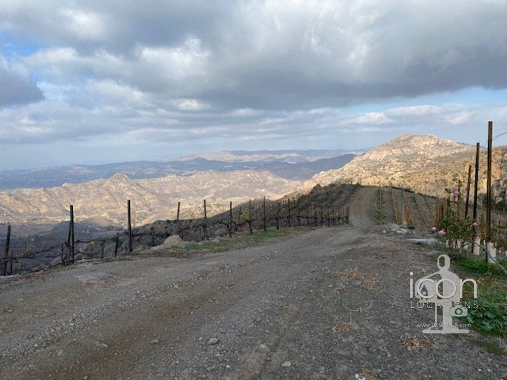 Vineyard/Ranch - RA3188