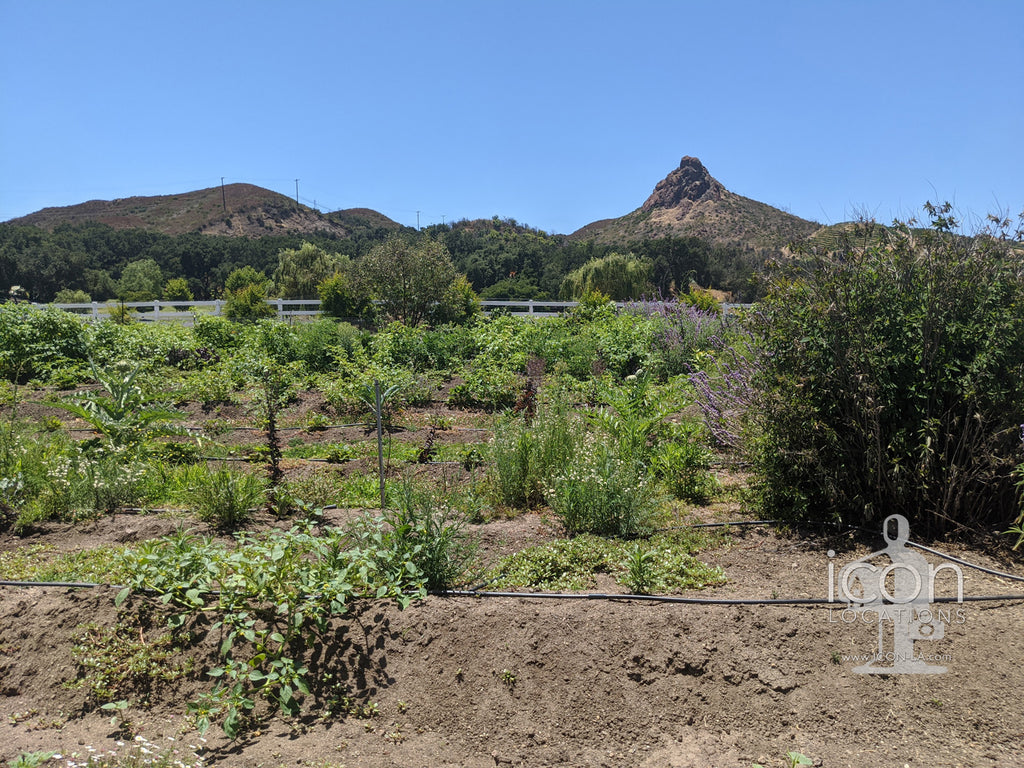 Vineyard/Ranch - RA3188