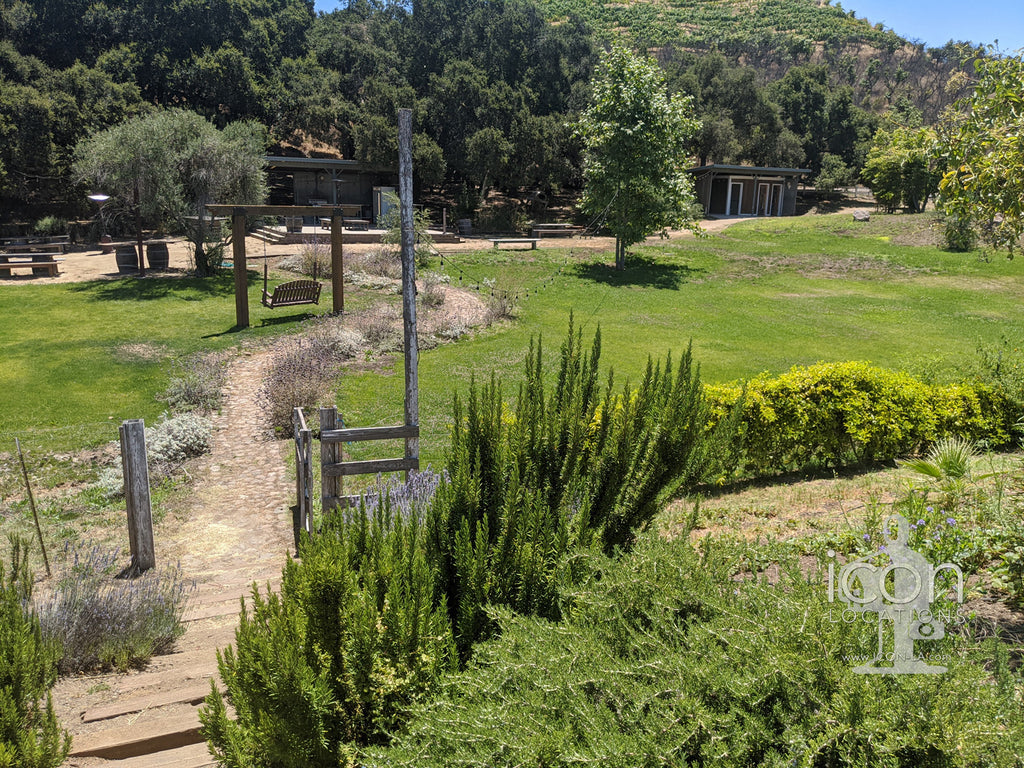 Vineyard/Ranch - RA3188