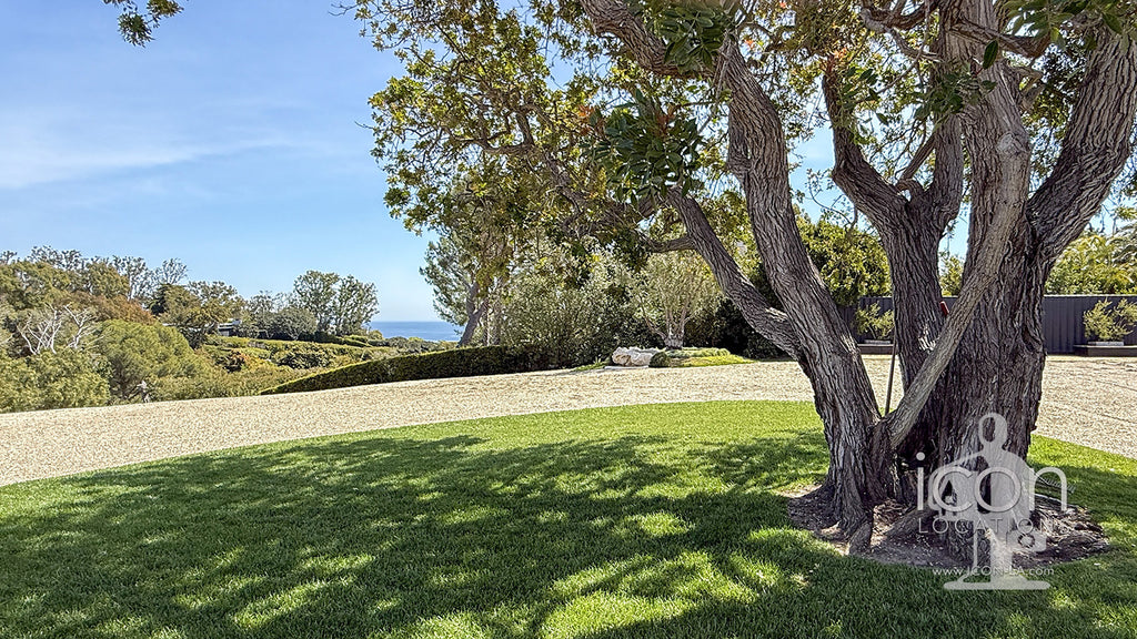 Modern Ranch - RA3190