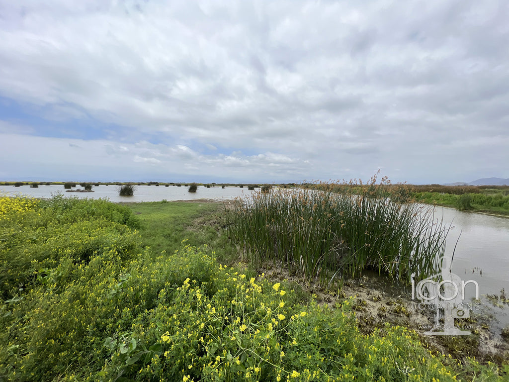 Hunting Reserve - FARM3002