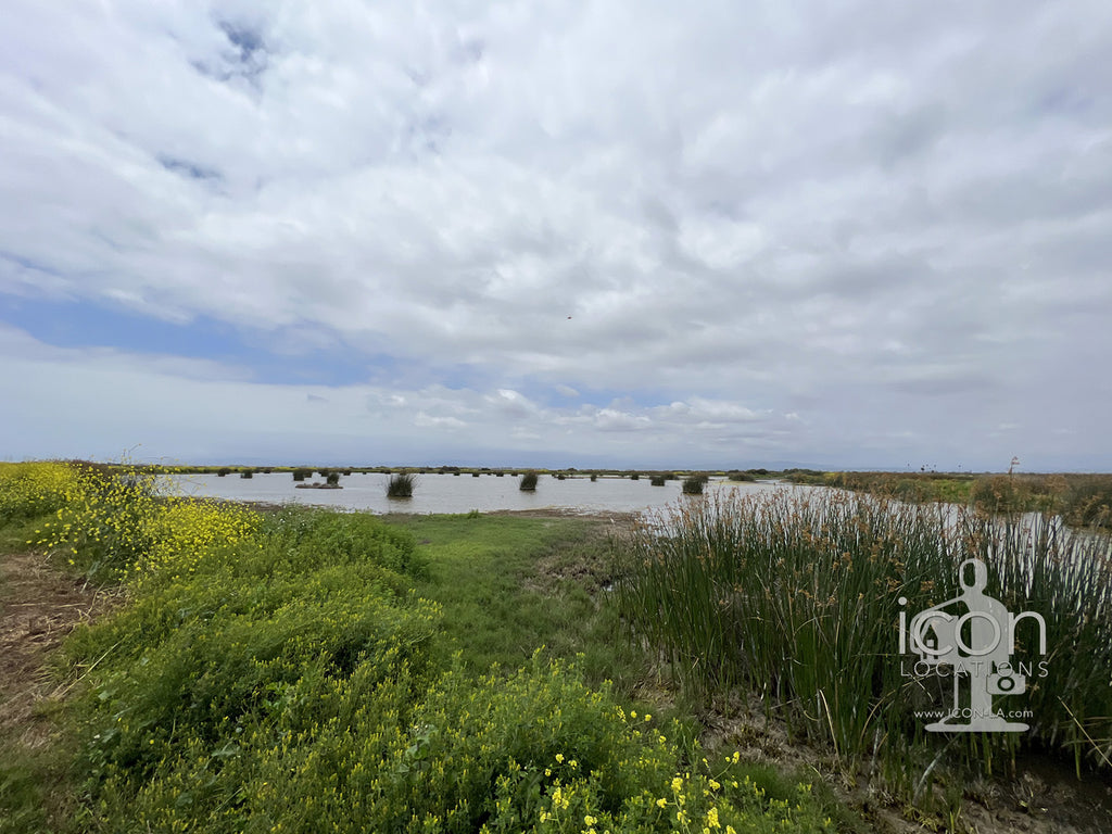 Hunting Reserve - FARM3002