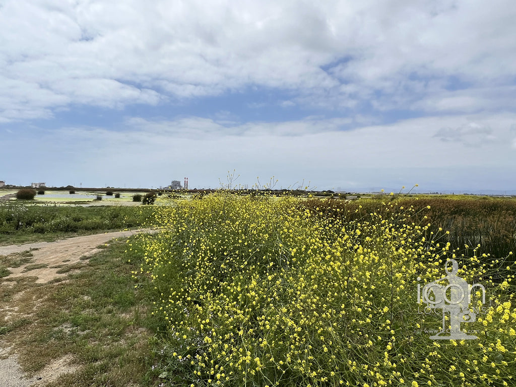 Hunting Reserve - FARM3002