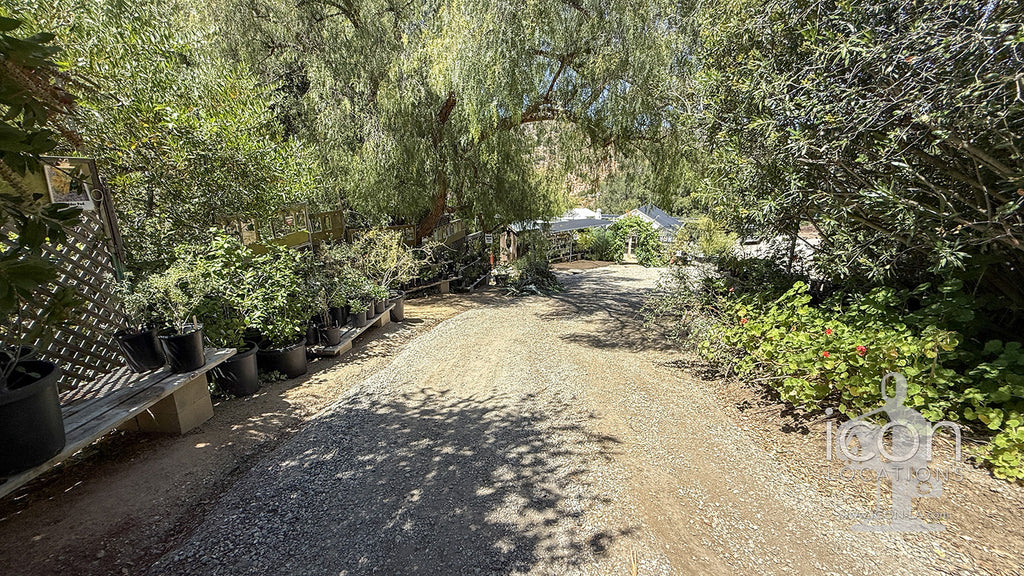 Spanish - VILLA2089