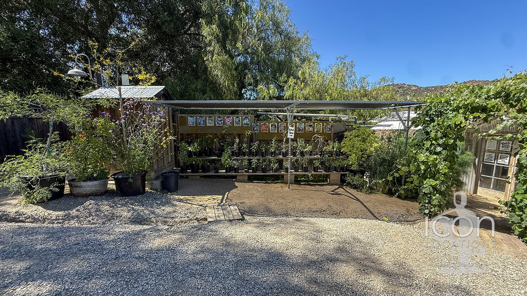 Spanish - VILLA2089