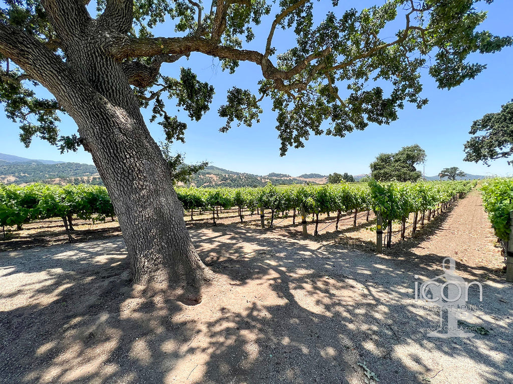 Vineyard - VILLA2158 - Santa Barbara