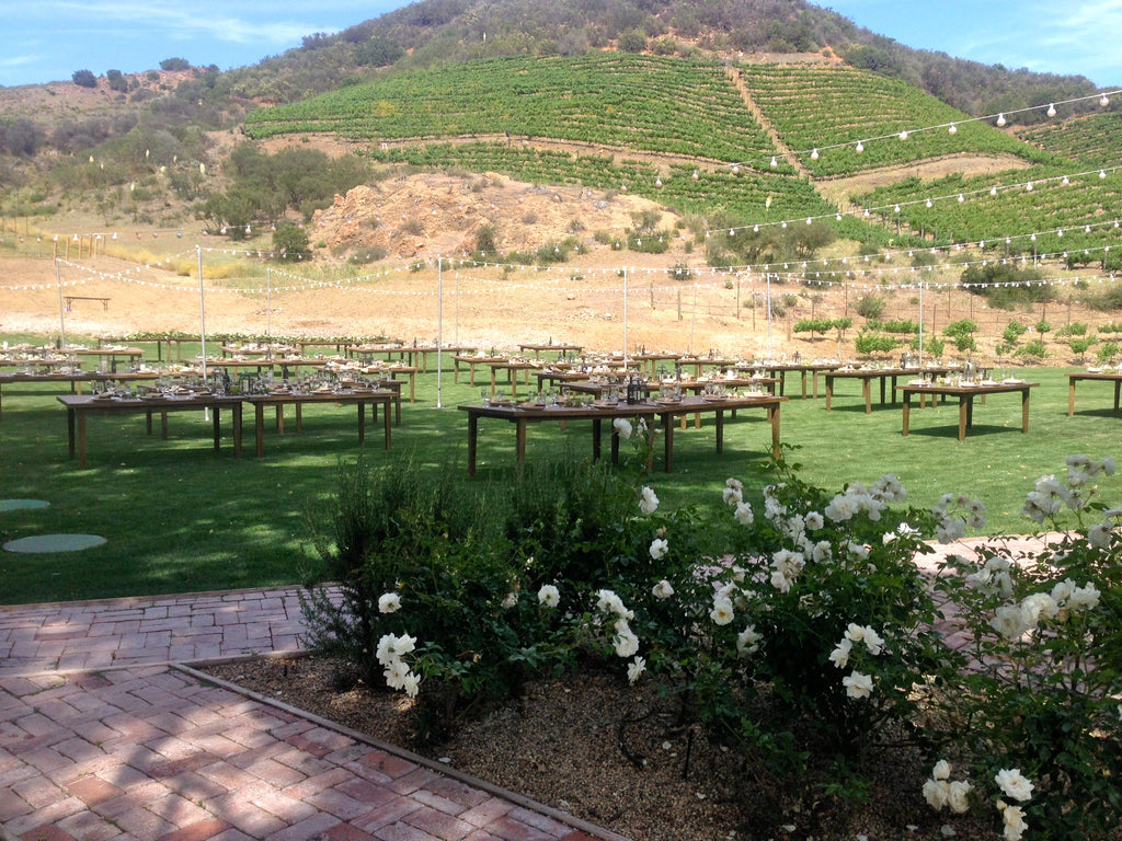 RANCH with Vineyard - RA3068