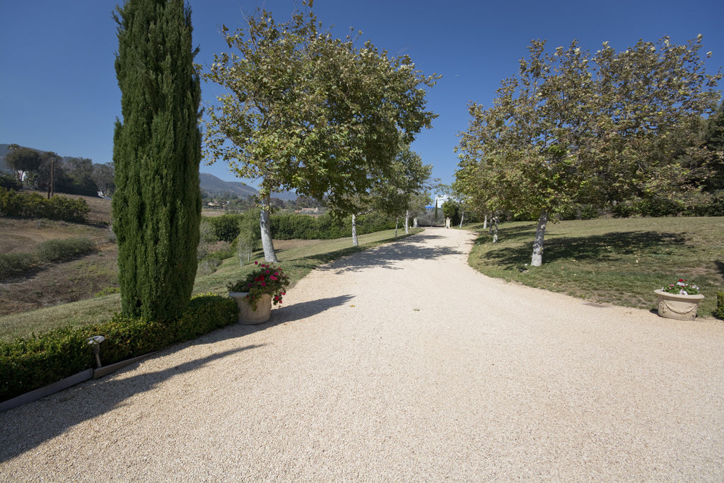 Chateau - CHA30276 - French