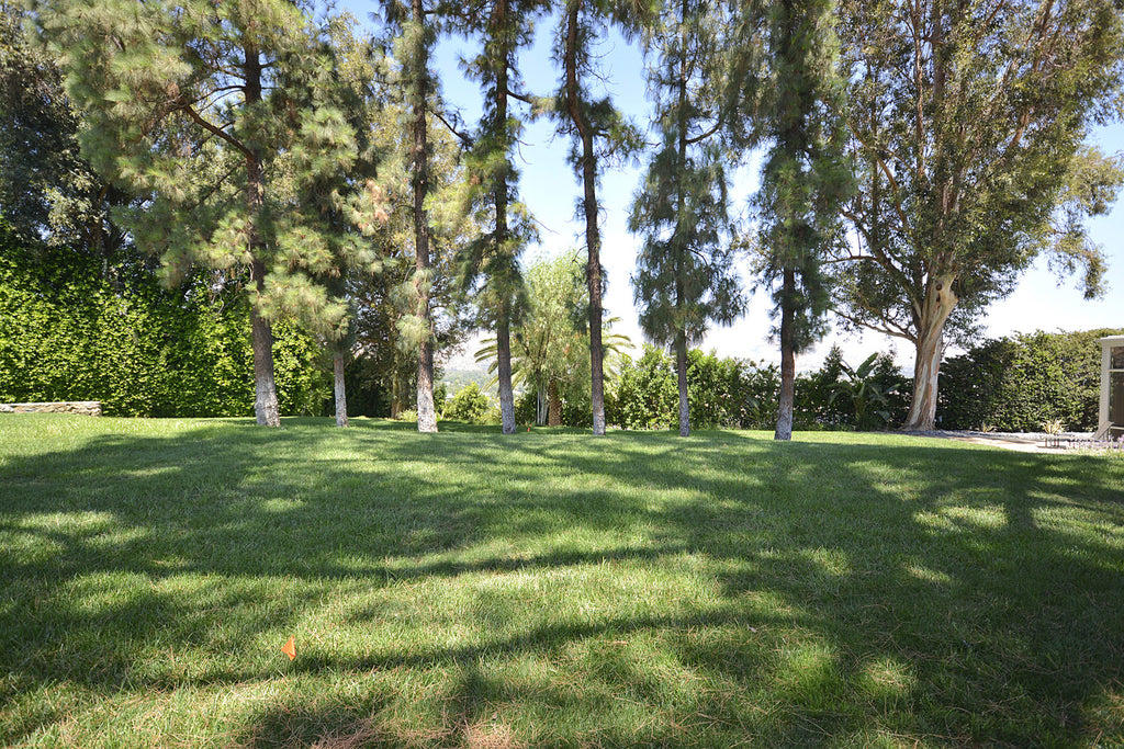 Contemporary - CO2031