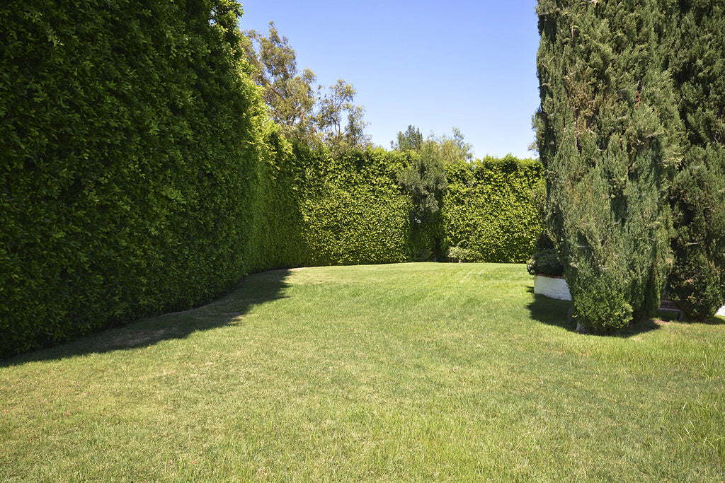 Contemporary - CO2031