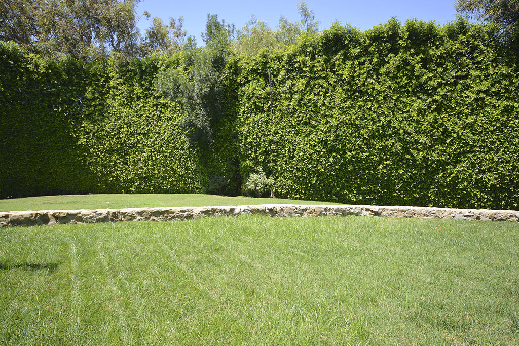 Contemporary - CO2031