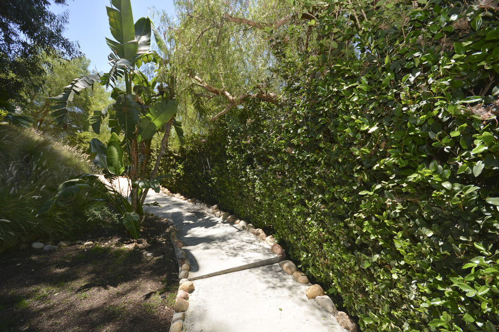 Contemporary - CO2031