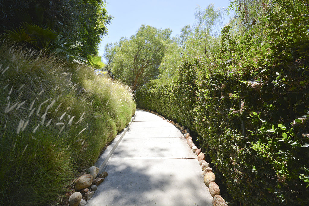 Contemporary - CO2031