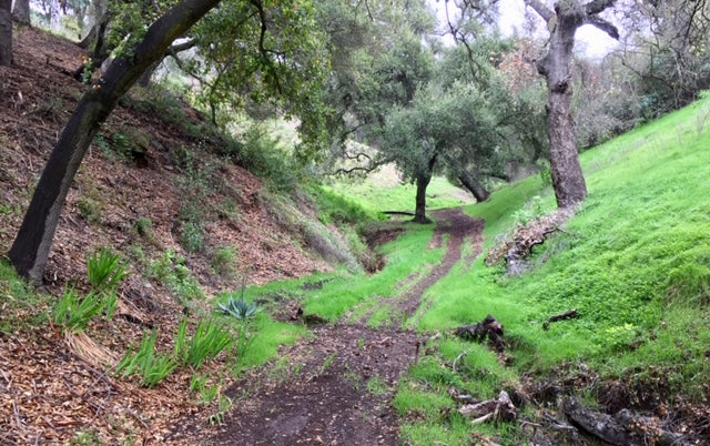 Land - LAND2006