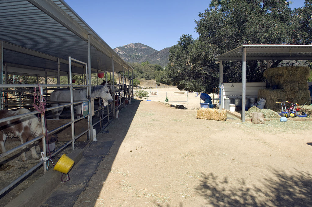 Ranch - RA2027