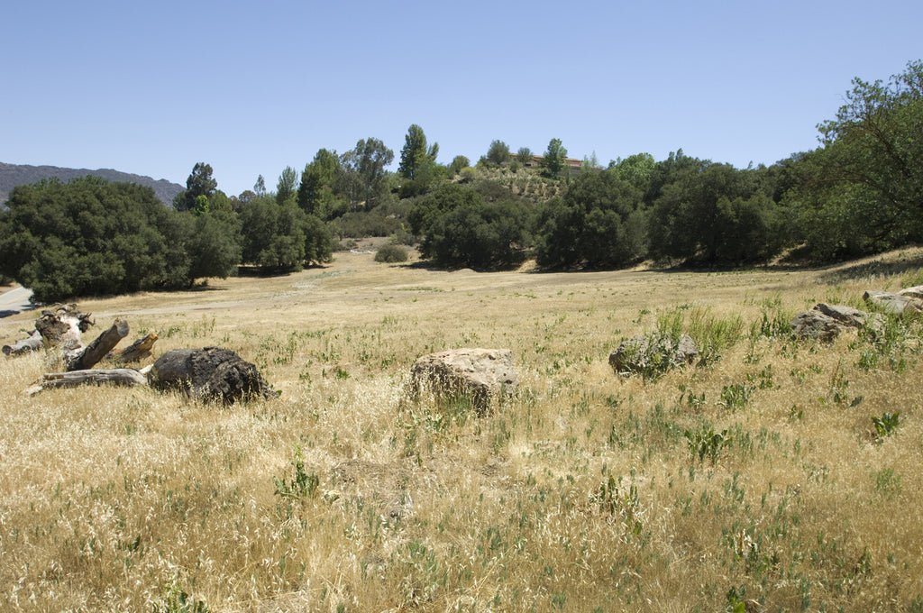 Ranch - RA2027