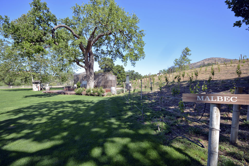 RANCH with Vineyard - RA3068