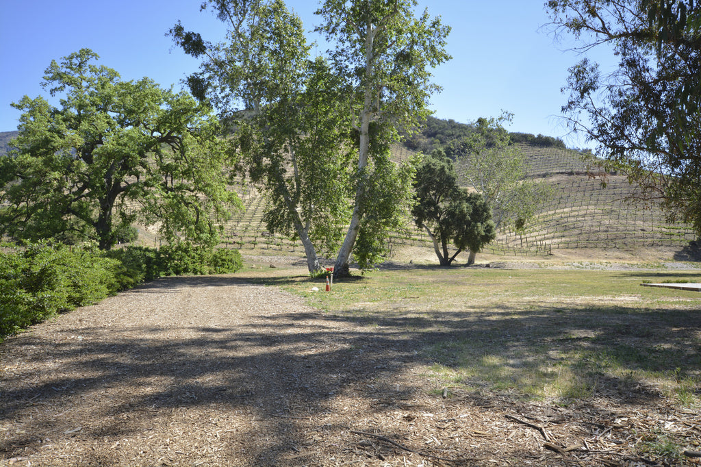 RANCH with Vineyard - RA3068