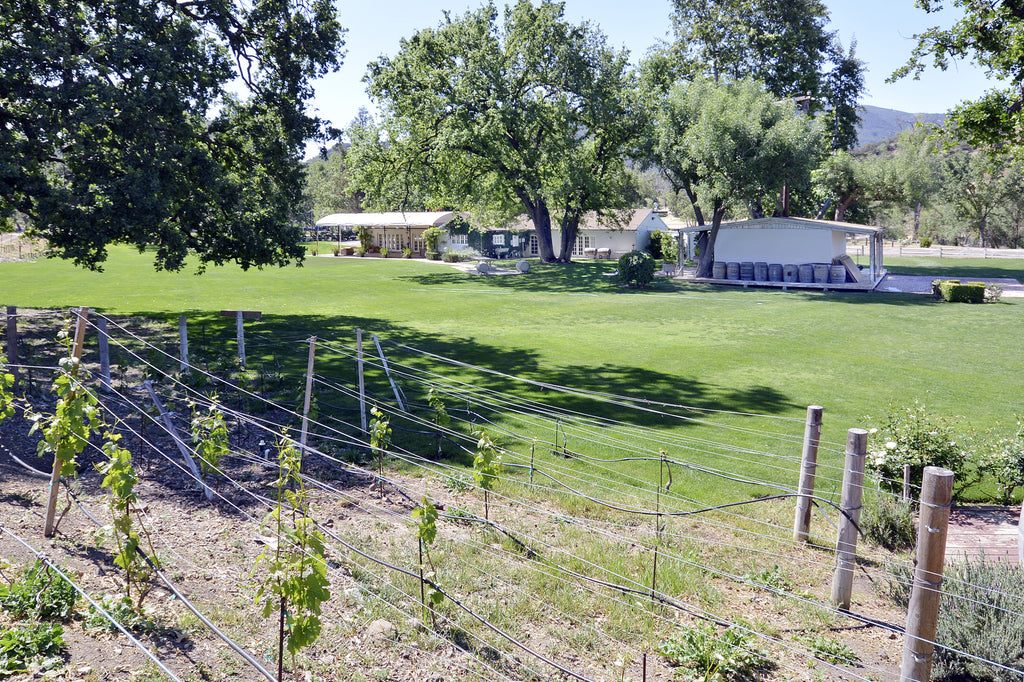 RANCH with Vineyard - RA3068