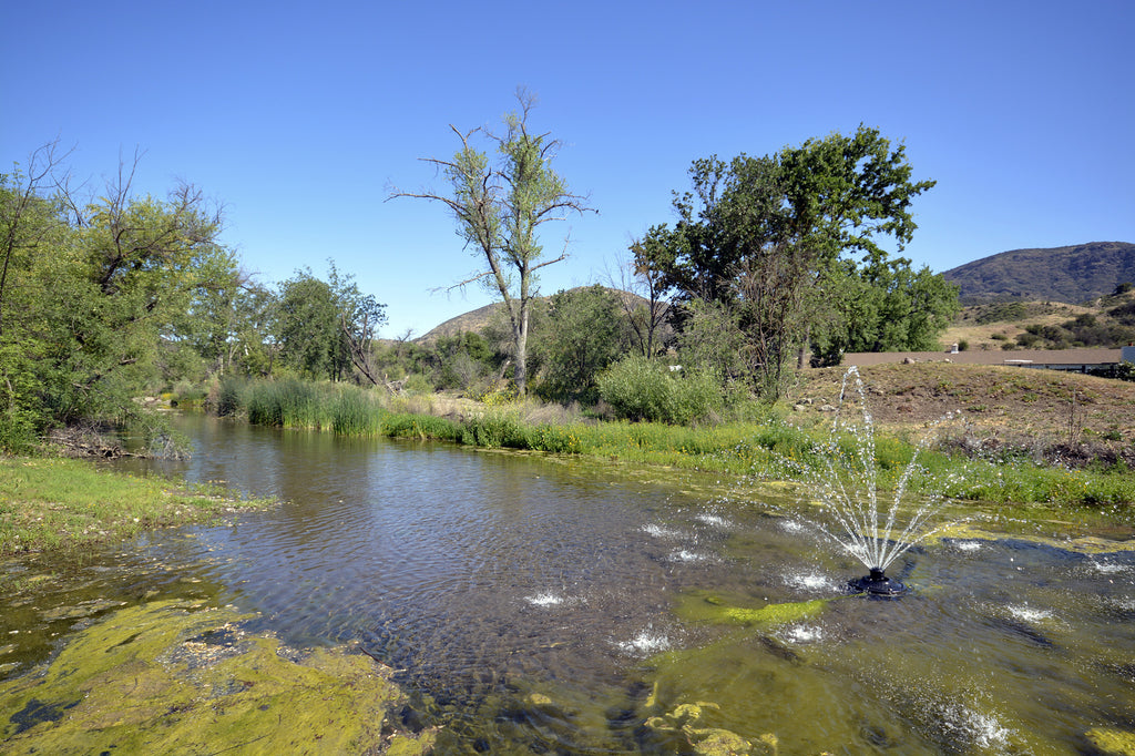 RANCH with Vineyard - RA3068