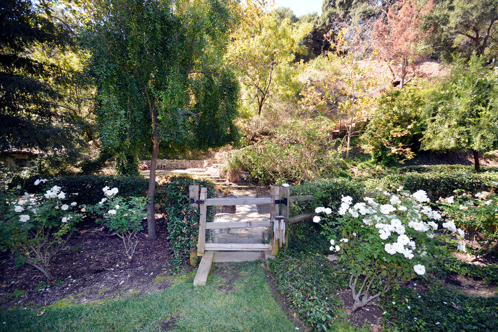 Ranch - RA3074