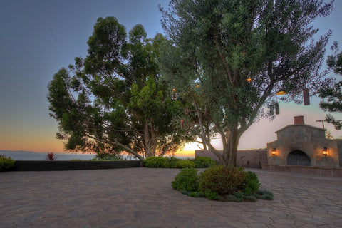 Ranch - RA3079 - Vineyard Land