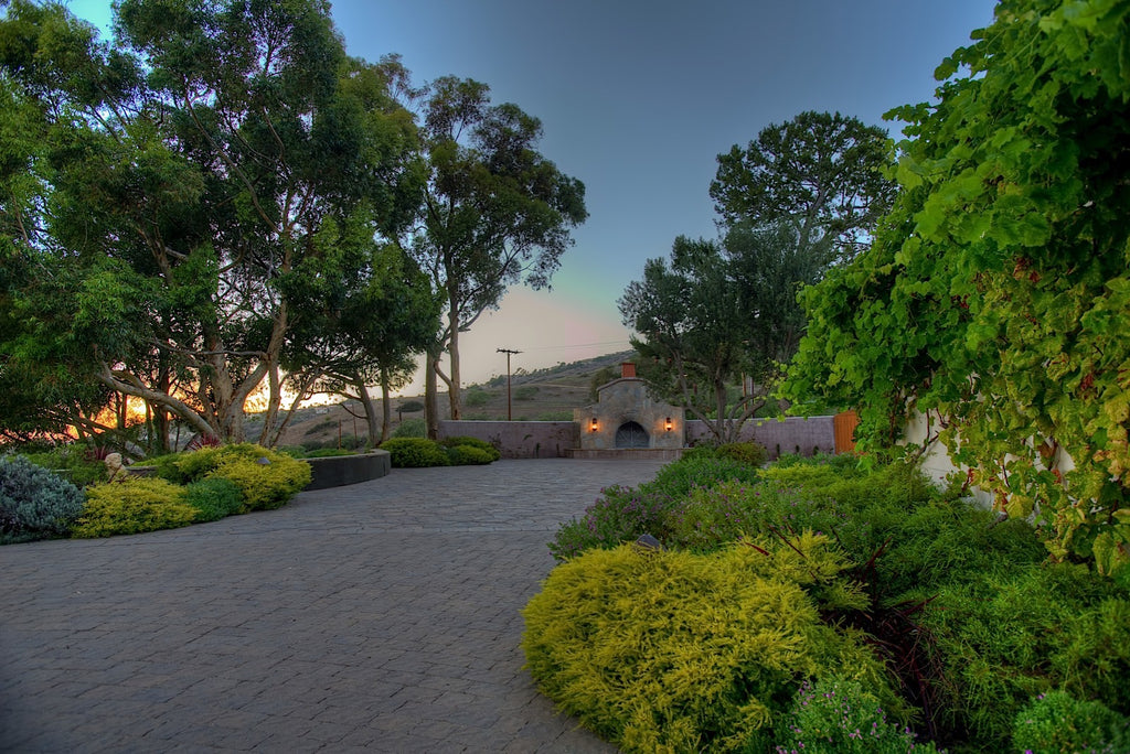 Ranch - RA3079 - Vineyard Land