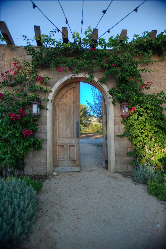 Ranch - RA3079 - Vineyard Land