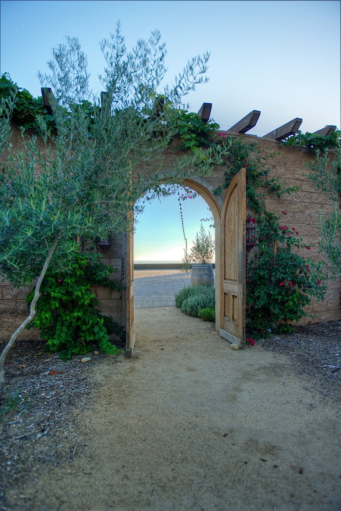 Ranch - RA3079 - Vineyard Land