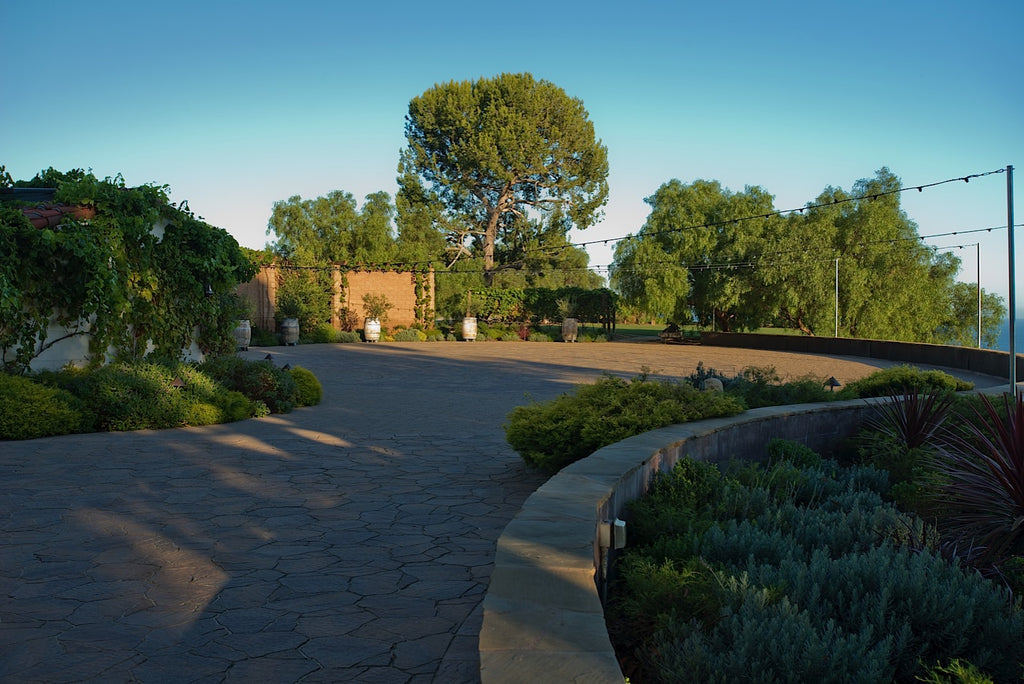 Ranch - RA3079 - Vineyard Land