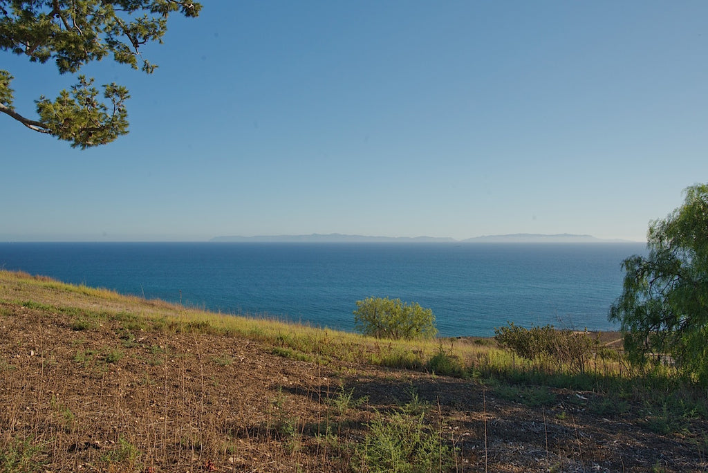 Ranch - RA3079 - Vineyard Land